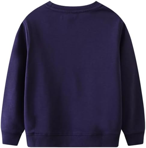 Crewneck sweatshirt for boys