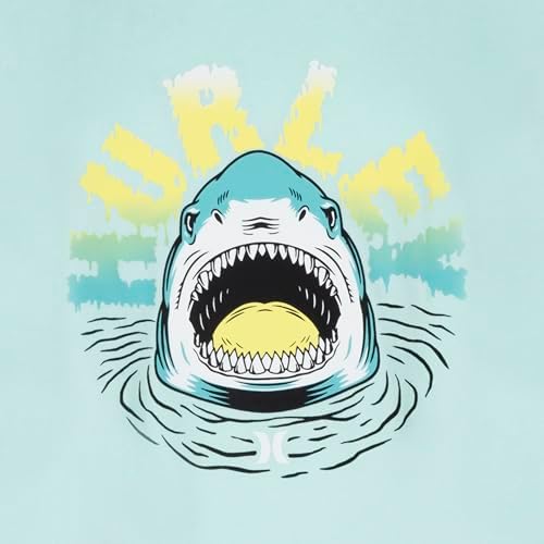 Hurley Boys RashGuard Swim