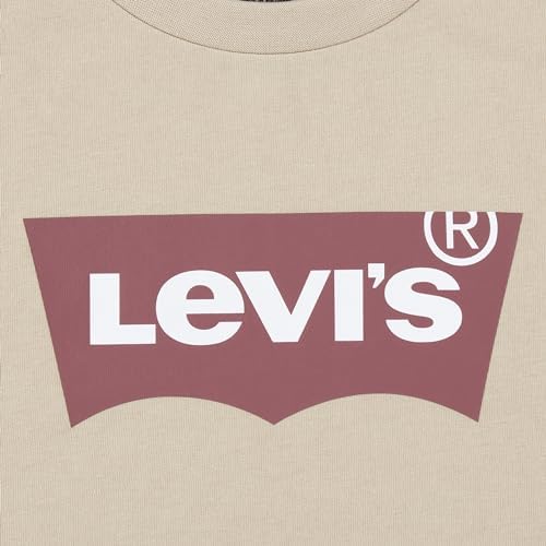 Levis Boys T-Shirt Shorts Set