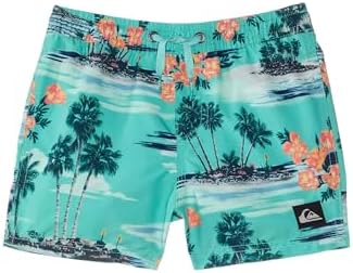 Quiksilver Boys Everyday Mix Volley Boys Board Trunks Little Kids