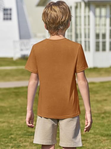 Summer Comfort Boys Short Sleeve T-Shirts for Ages 5-14