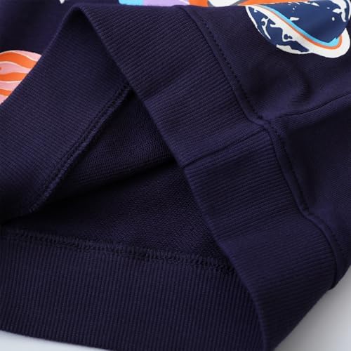 Crewneck sweatshirt for boys