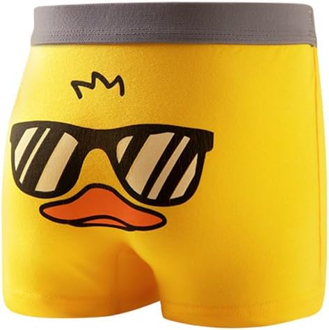 CHUNG Soft Cotton boxer briefs for boys aged 2-11years Dinosaur theme PEasy to wear Treasured