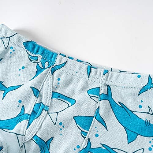 Crisp and Stylish Underwear for Little Boys