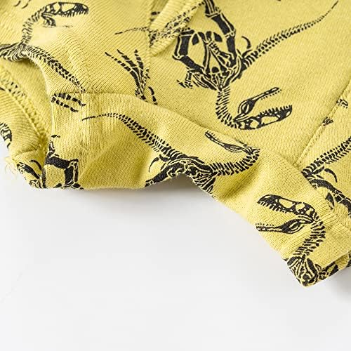 Crisp and Stylish Underwear for Little Boys