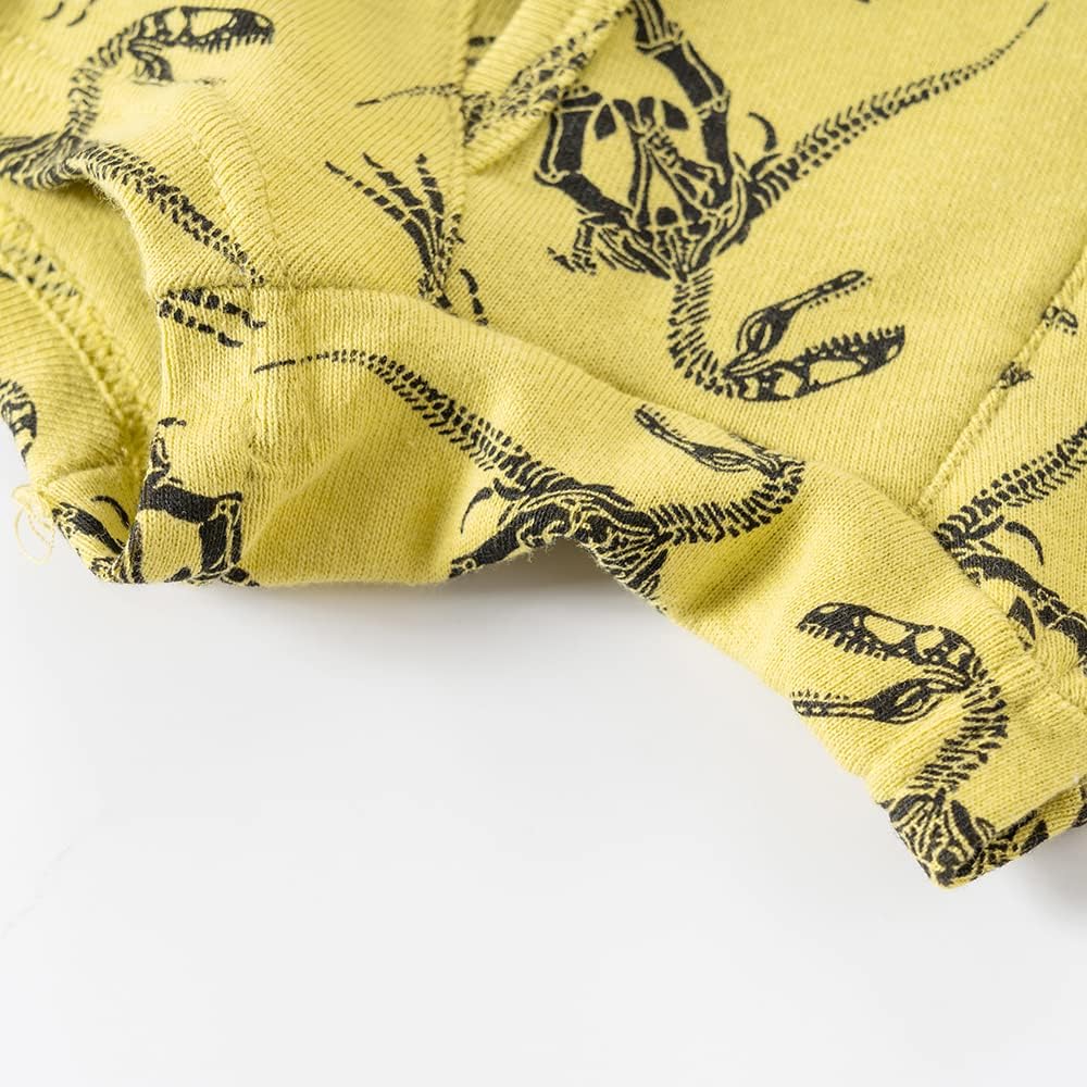 Crisp and Stylish Underwear for Little Boys