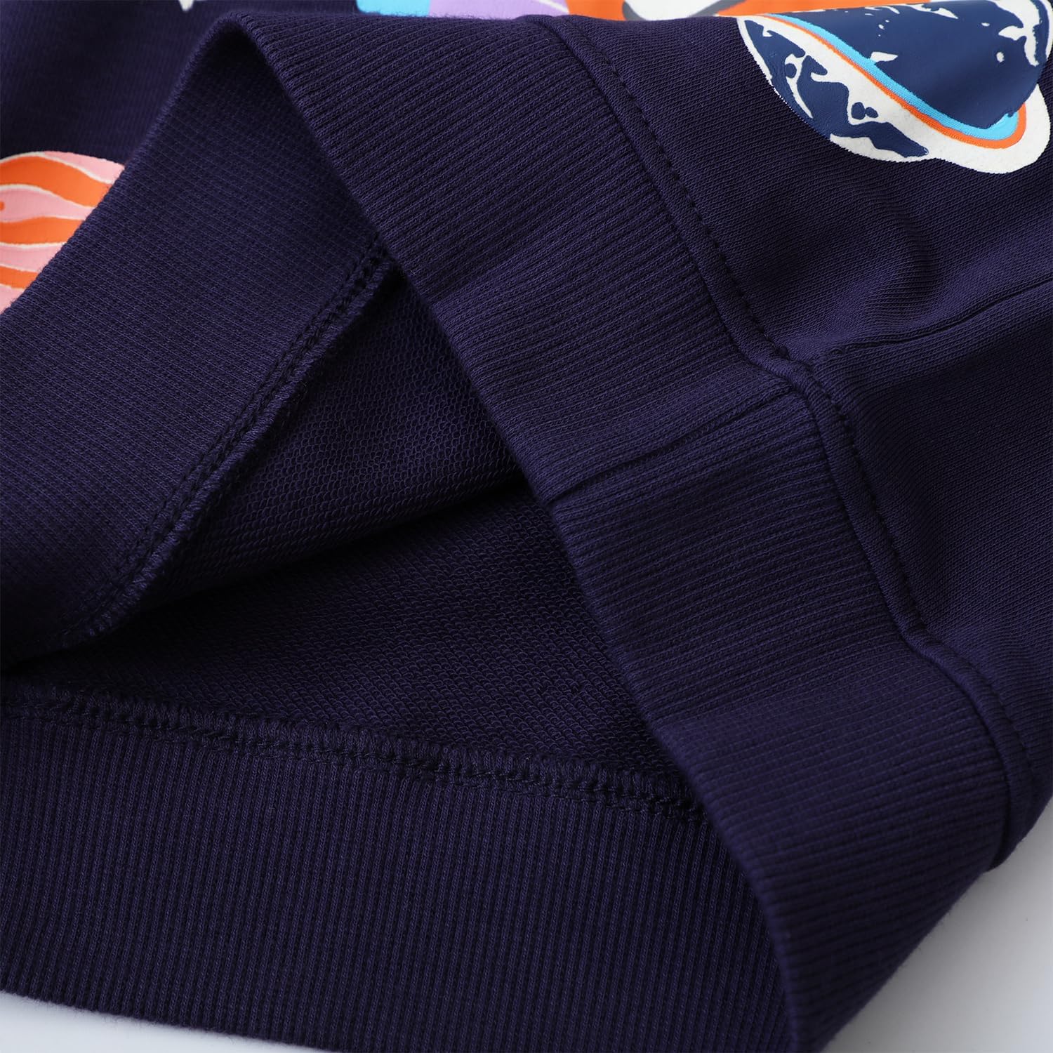 Crewneck sweatshirt for boys
