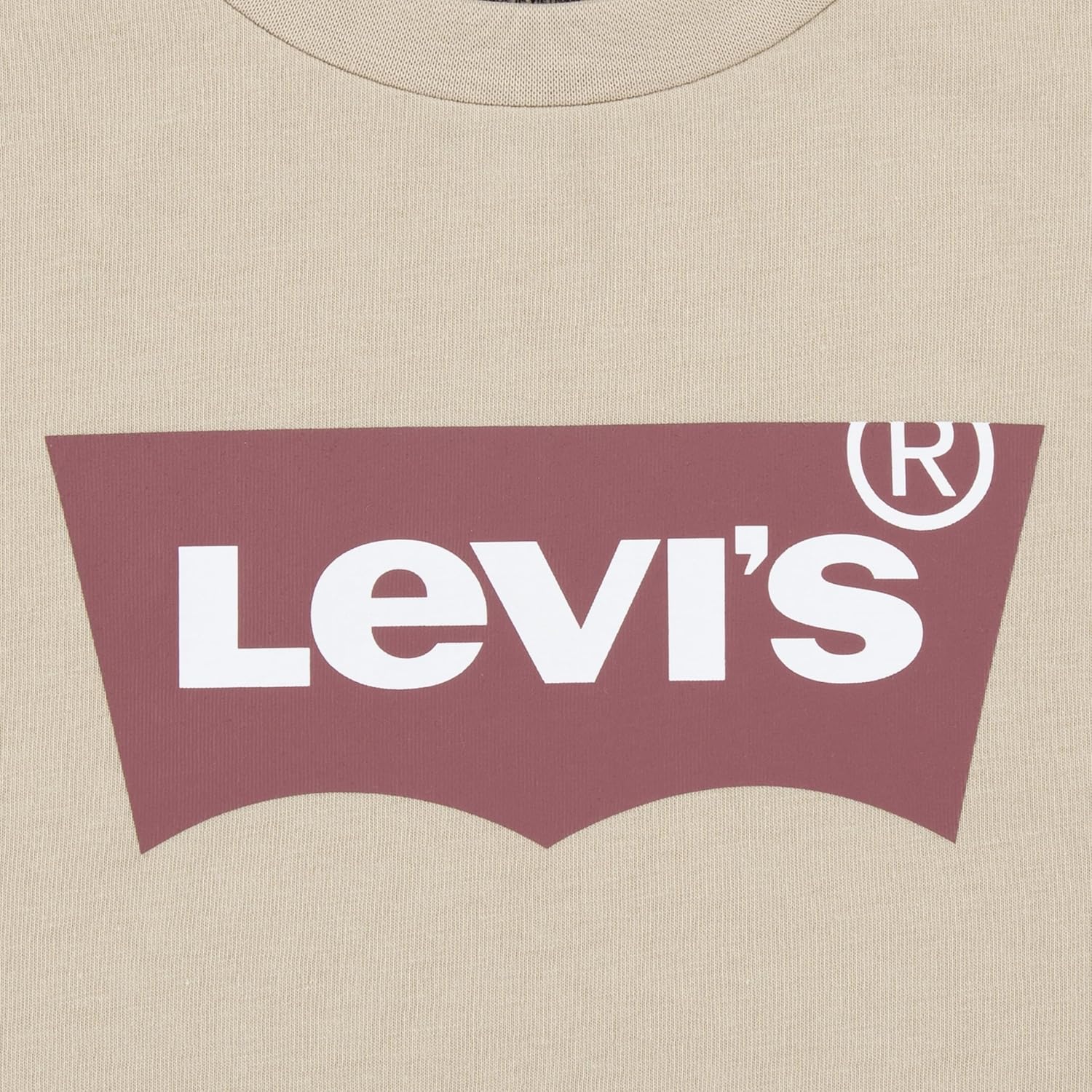 Levis Boys T-Shirt Shorts Set